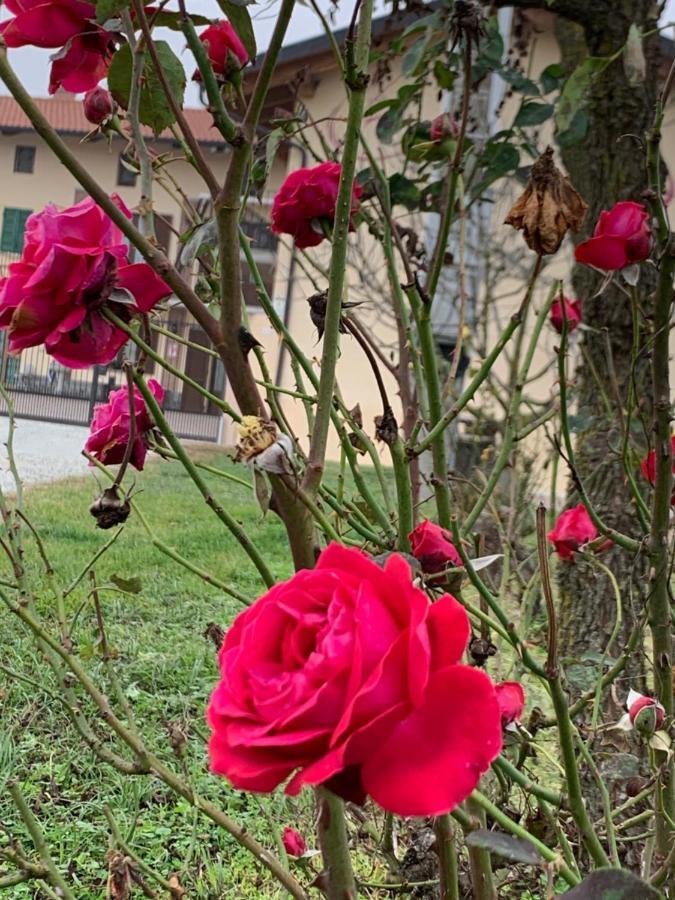 Agriturismo Cascina Mariale Albiano dʼIvrea Zewnętrze zdjęcie